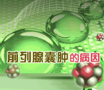 得了前列腺囊肿吃什么好